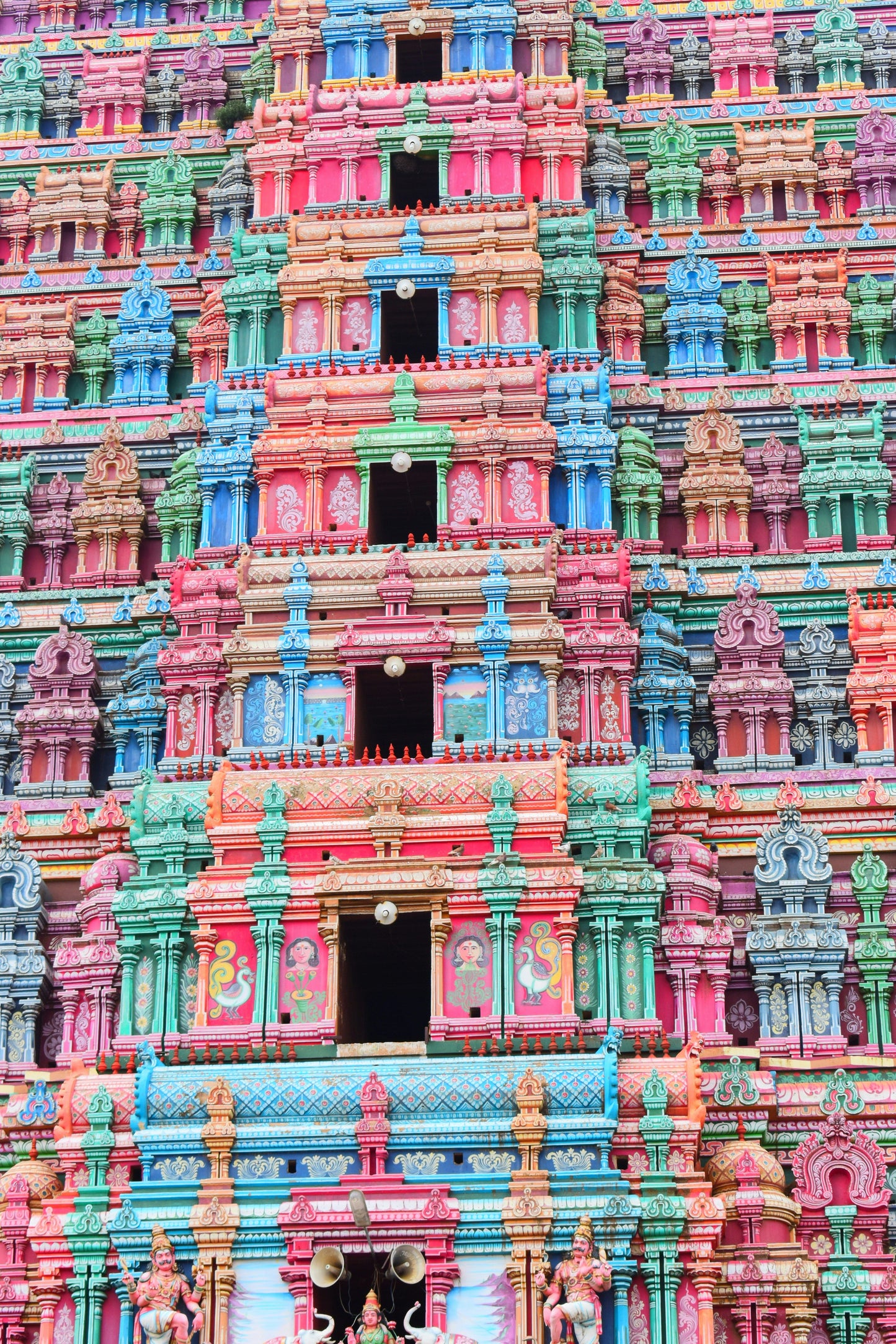 La Magia del Sur de India