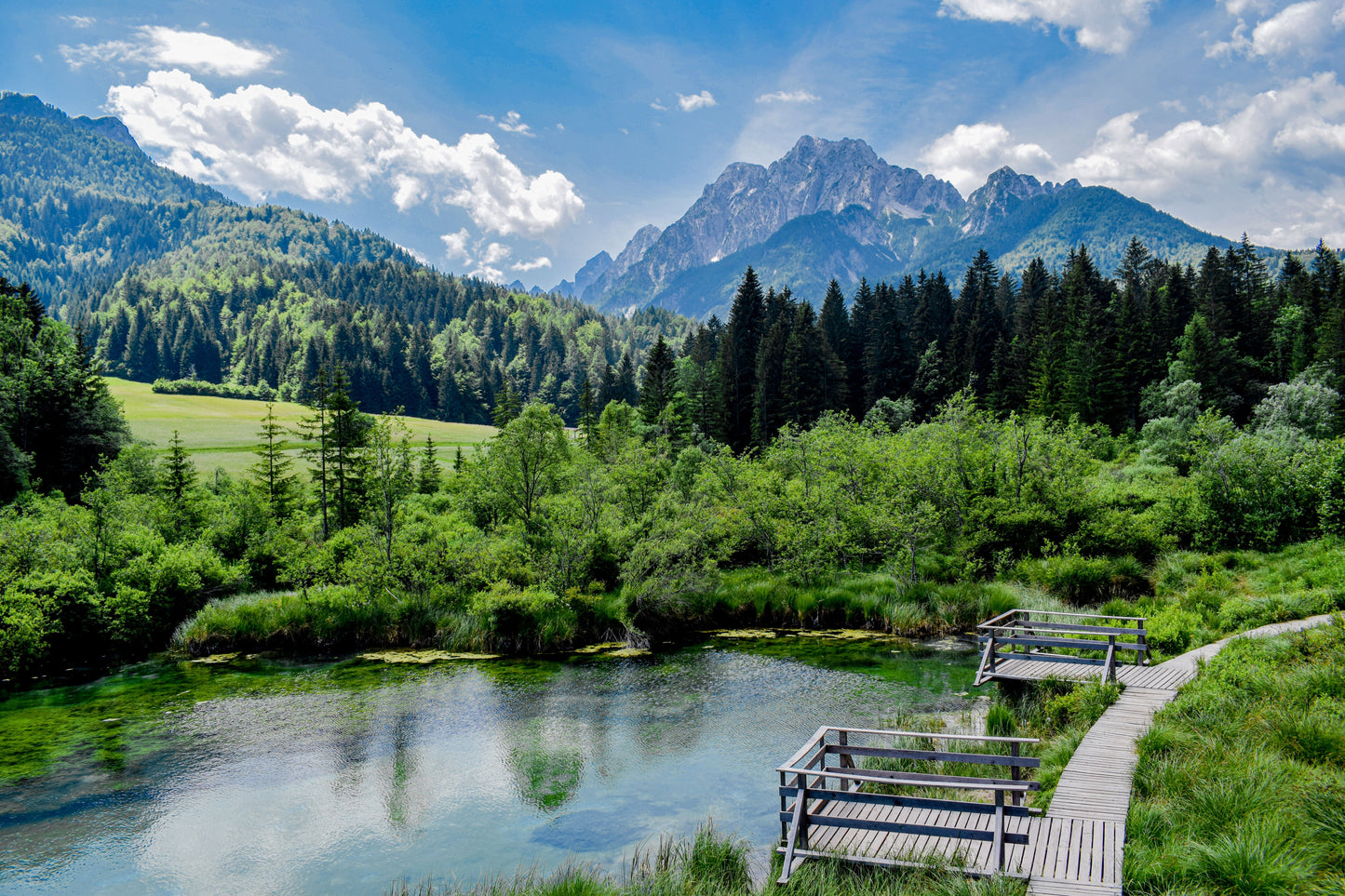 Los Alpes Eslovenos y la Odisea de la Costa Dálmata